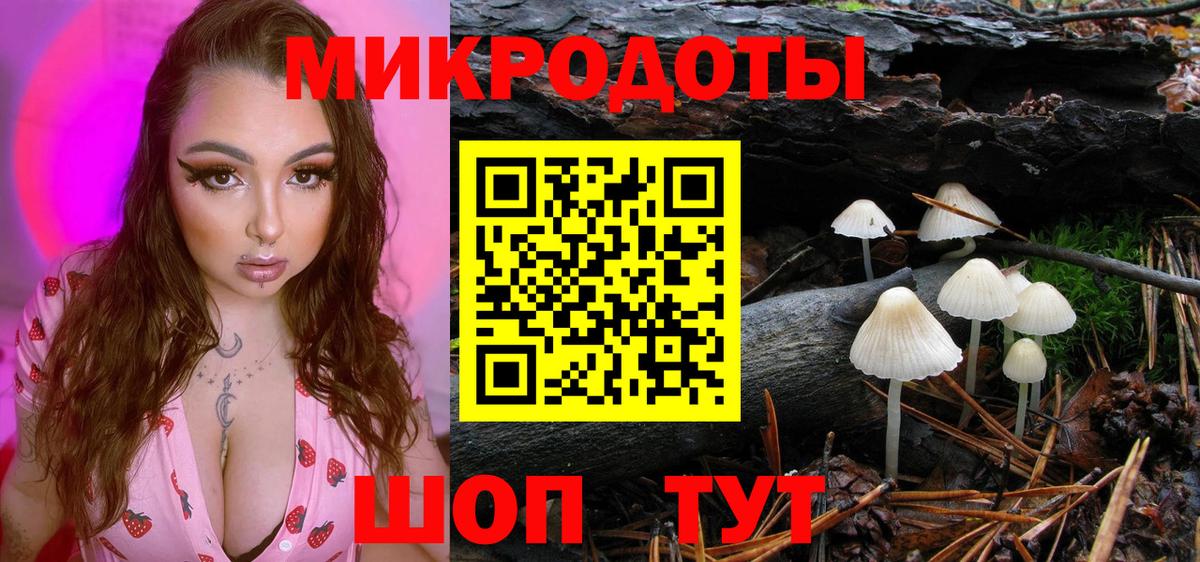 Псилоцибиновые грибы GOLDEN TEACHER Чусовой